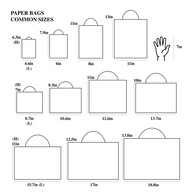 White with Gold Border Paper Gift Bag w/ free tissue: H3